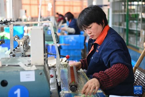 浙江嵊州 以專業(yè)咨詢服務(wù)為引擎，高質(zhì)量推進(jìn)工業(yè)經(jīng)濟(jì)發(fā)展